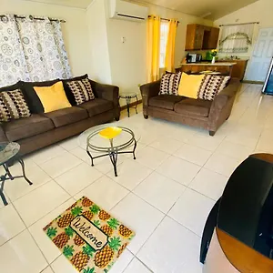 The Intimate Paradise Close To 876 , Falmouth Jamaica